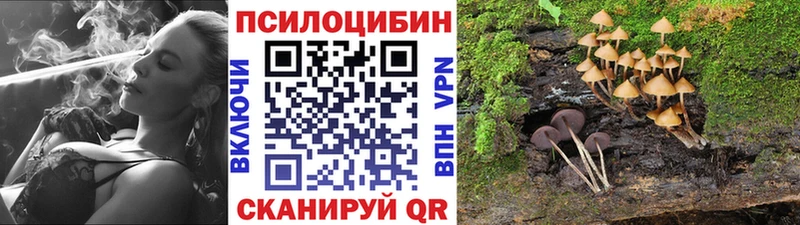 Псилоцибиновые грибы Cubensis  Верхняя Салда 